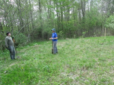 Surveying the site